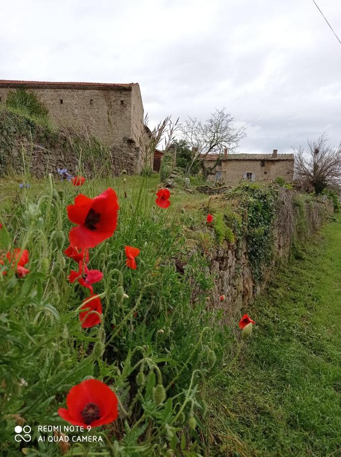 Willa Ferme De Fenivou Boulieu-les-Annonay Zewnętrze zdjęcie